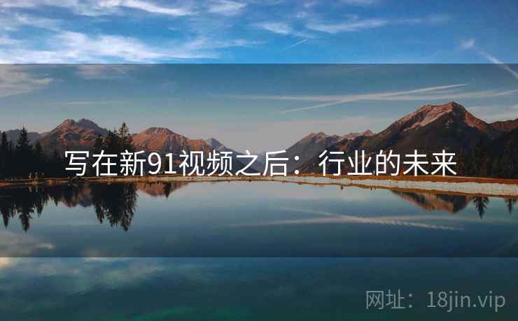 写在新91视频之后：行业的未来