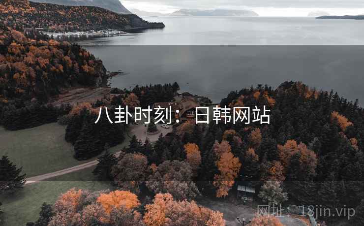 八卦时刻：日韩网站