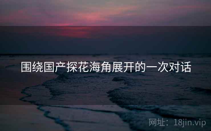 围绕国产探花海角展开的一次对话