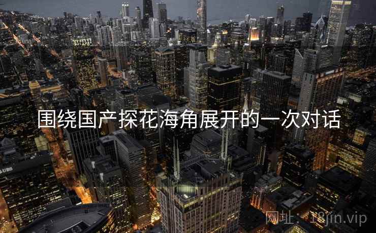 围绕国产探花海角展开的一次对话