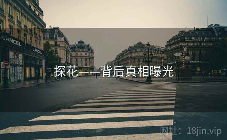 探花——背后真相曝光