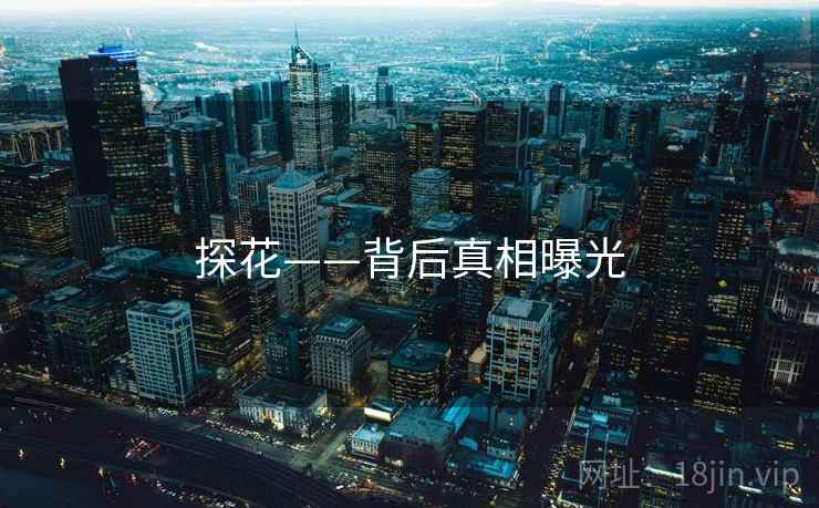 探花——背后真相曝光