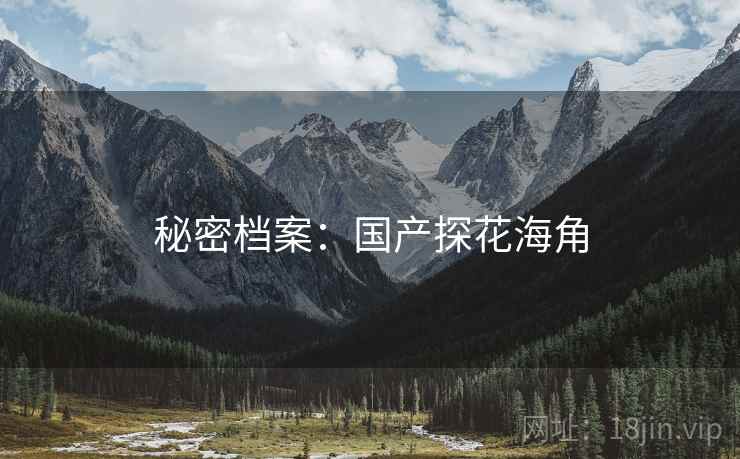 秘密档案：国产探花海角