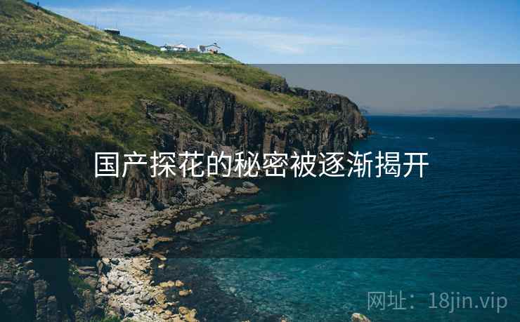 国产探花的秘密被逐渐揭开