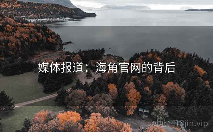 媒体报道：海角官网的背后