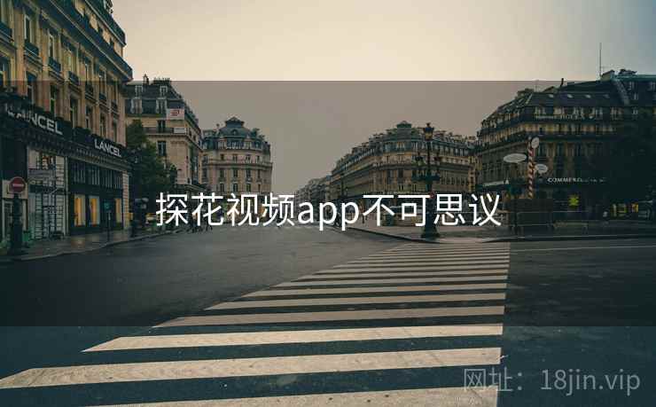 探花视频app不可思议