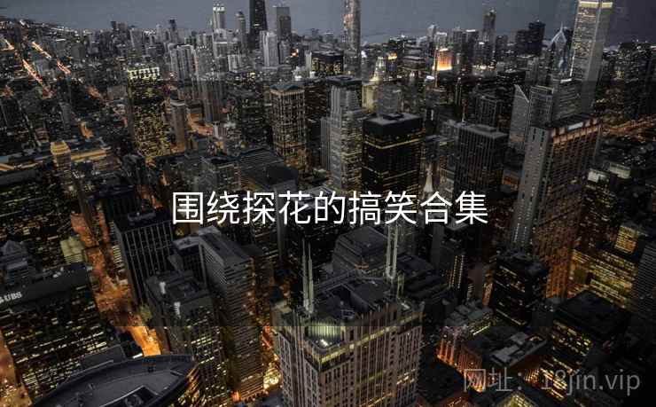 围绕探花的搞笑合集