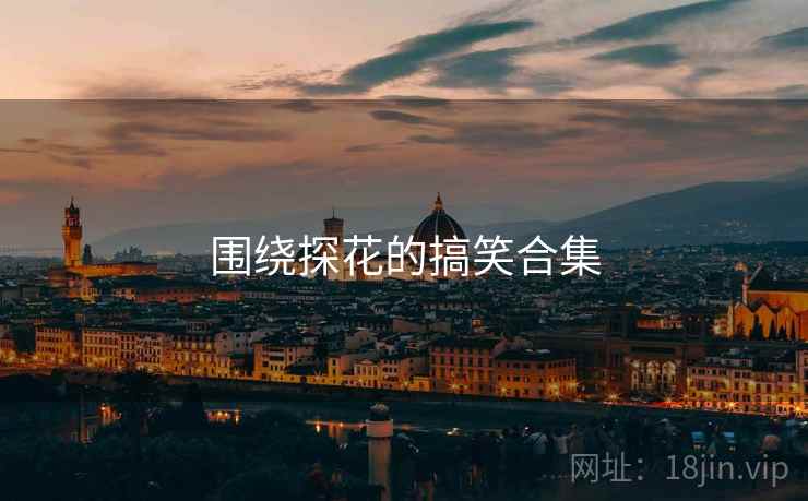 围绕探花的搞笑合集