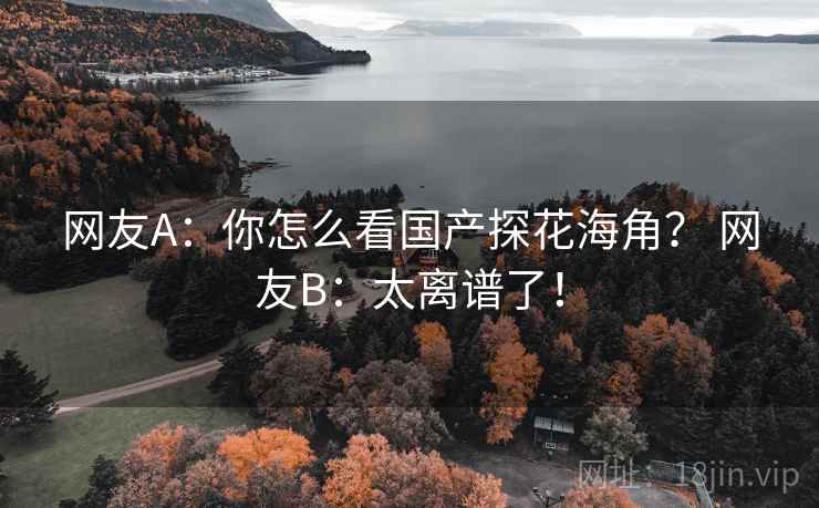 网友A:你怎么看国产探花海角? 网友B:太离谱了!
