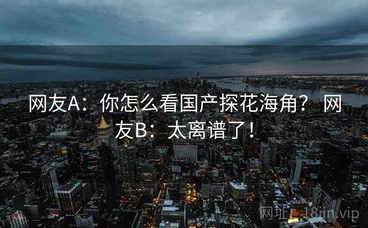 网友A:你怎么看国产探花海角? 网友B:太离谱了!