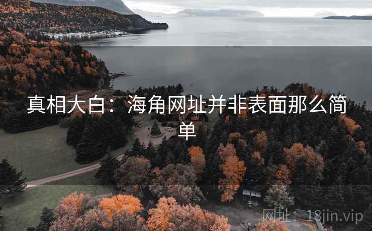 真相大白:海角网址并非表面那么简单